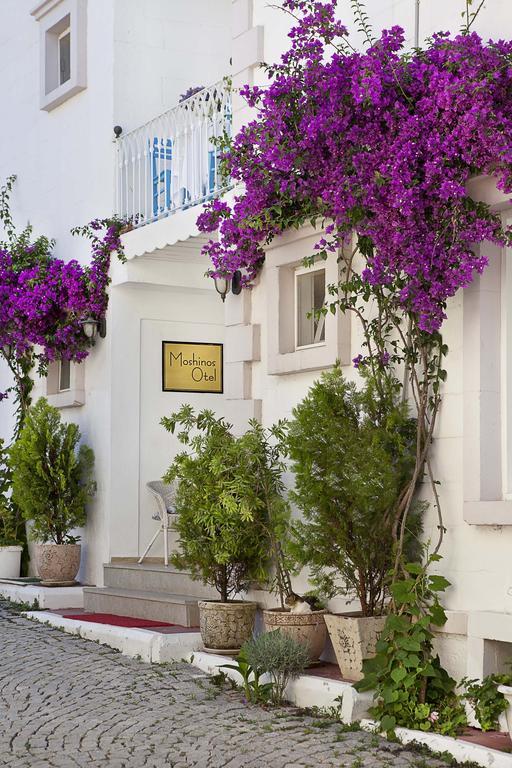 Moshinos Hotel Ayvalik Exterior photo
